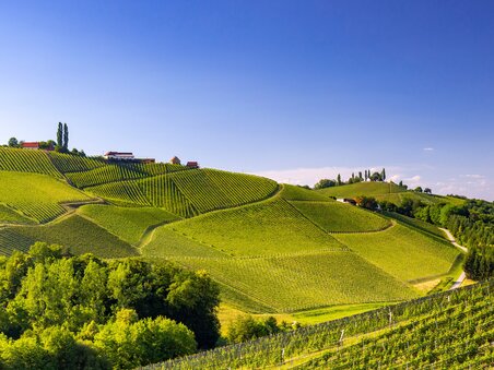 The South Styrian Wine Road - Impression #3 | © Steiermark Tourismus/Harry Schiffer