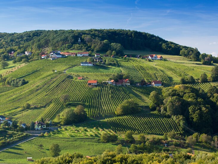Ausblick aufs Weinland bei St. Anna am Aigen | © (c) Steiermark Tourismus/Harry Schiffer