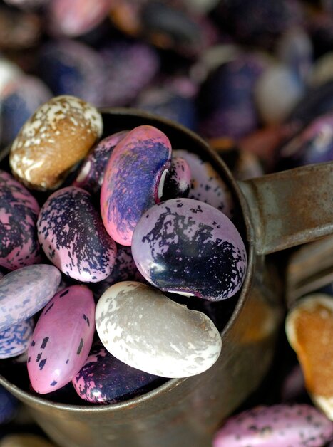 © Steiermark Tourismus/bigshot.at