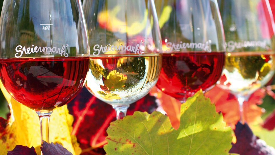 Presentation of Styrian wines - Impression #5 | © Steiermark Tourismus/Harry Schiffer
