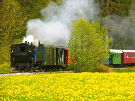 Stainzer Flascherlzug - Impression #3 | © TV Schilcherland-Stainz-Reinischkogel