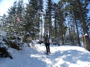 Schneeschuhwandern auf der Hirschegger Alm | © (c) www.weg-es.at