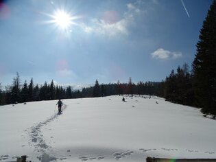 Schneeschuhwandern auf der Hirschegger Alm | © (c) www.weg-es.at