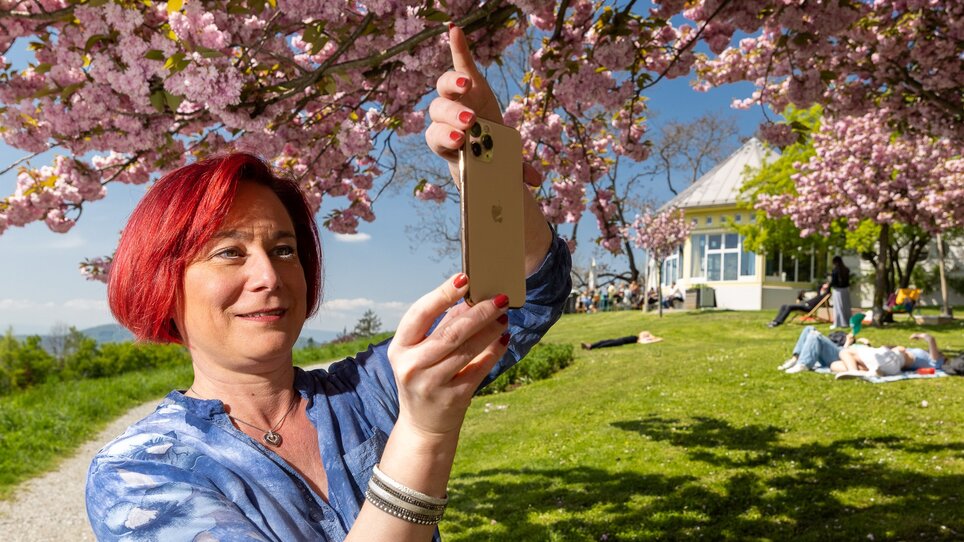 Woman with red hair takes photo under blooming cherry tree.