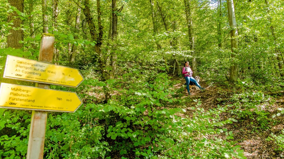 Wanderweg durch den Wald mit Wegweisern und einer Person. | © Graz Tourismus