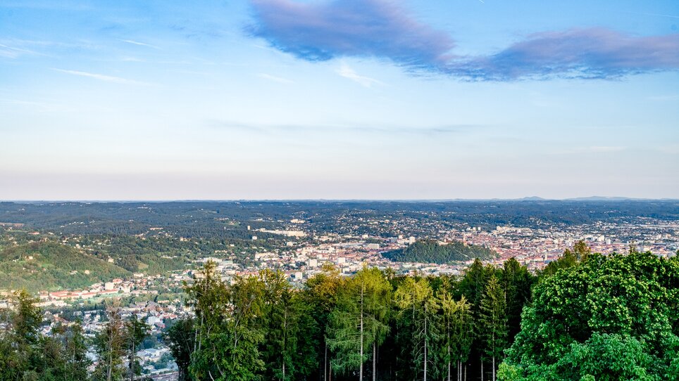 Blick auf Graz mit Bäumen im Vordergrund und einem klaren Himmel. | © Graz Tourismus