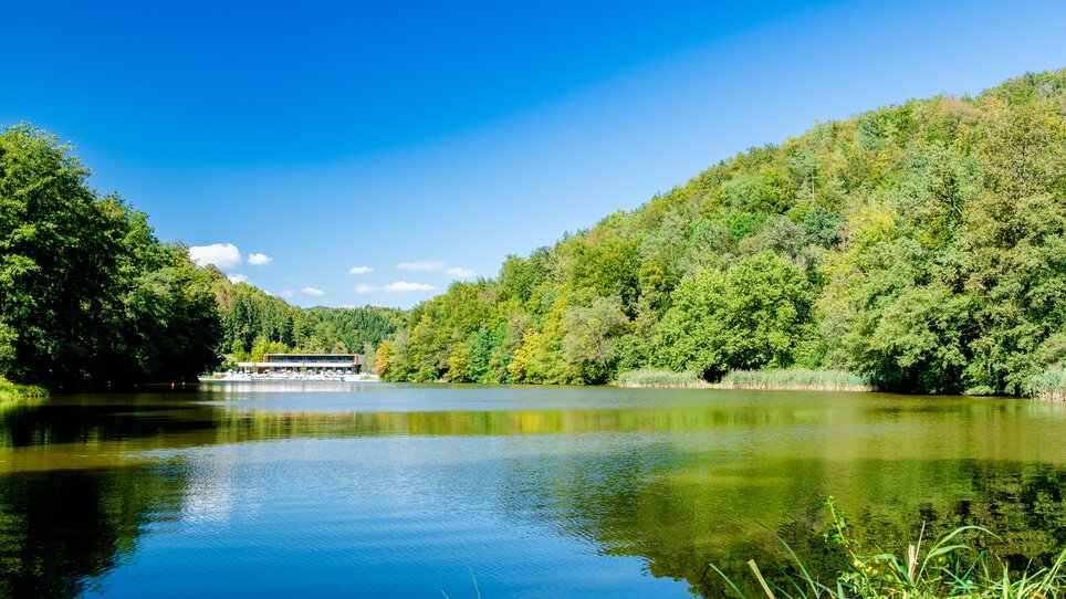 Der ruhige Thalersee umgeben von Wald unter blauem Himmel. | © Graz Tourismus