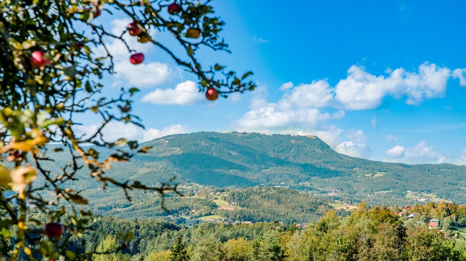 Blick über das Schaf- und Stiftingtal mit Äpfeln im Vordergrund und Bergen im Hintergrund. | © Graz Tourismus