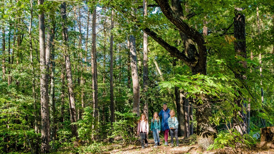 Familie geht im Wald spazieren, umgeben von Bäumen. | © Graz Tourismus