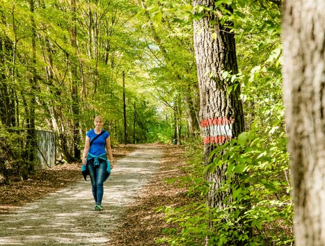 Eine Frau geht in einem Wald auf einem Weg, umgeben von Bäumen und Blättern. | © Graz Tourismus