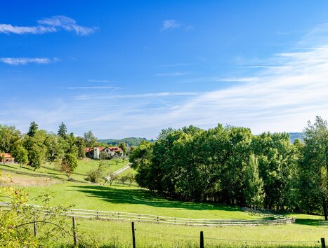 Landscape with meadow and trees near Graz. | © Graz Tourismus