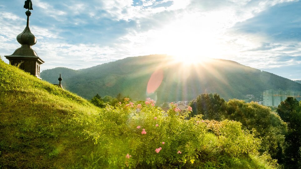 Sonnenaufgang über den Bergen mit Rosenblüten in Graz. | © Graz Tourismus