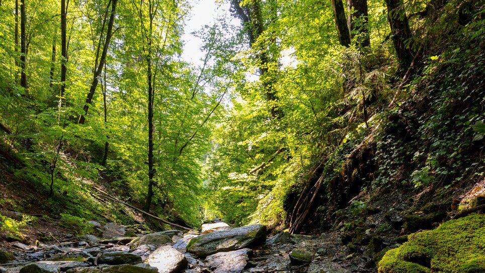 Idyllischer Flusslauf mit grünem Wald und Felsen. | © Graz Tourismus