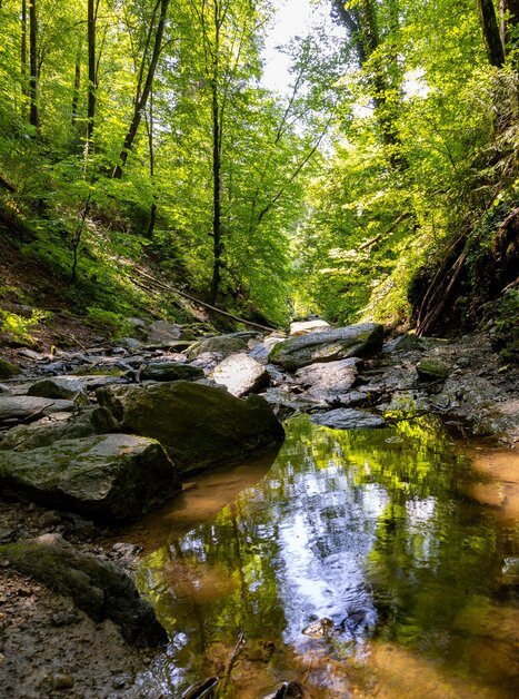 Idyllischer Flusslauf mit grünem Wald und Felsen. | © Graz Tourismus