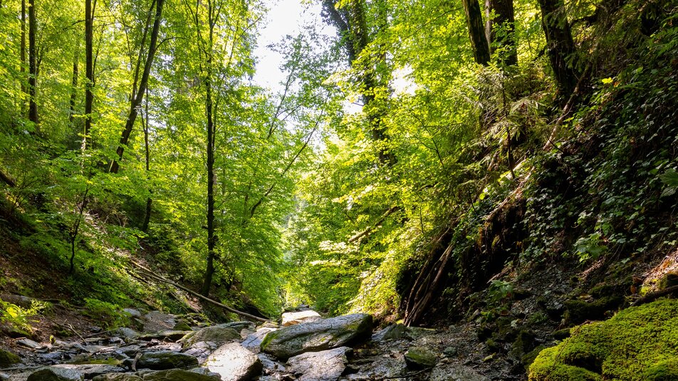 Idyllischer Flusslauf mit grünem Wald und Felsen. | © Graz Tourismus
