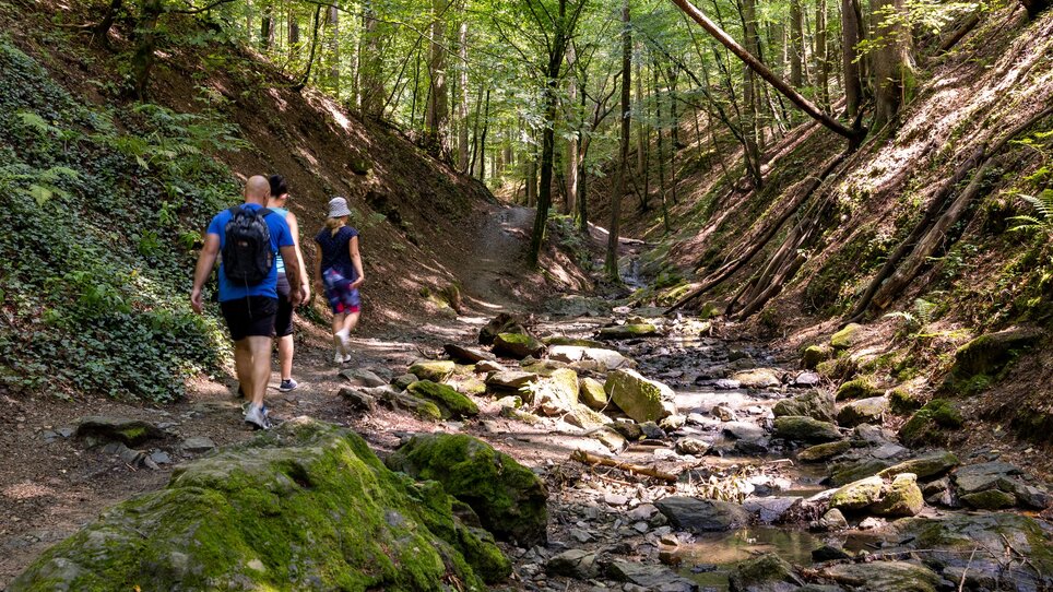 Zwei Wanderer erkunden die Rettenbachklamm, umgeben von waldreicher Landschaft. | © Graz Tourismus