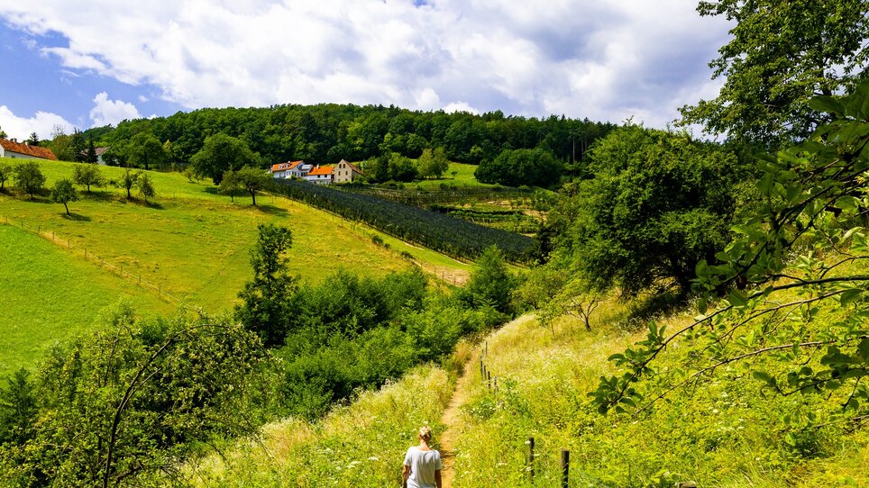 Ein Wanderer auf einem Pfad in einer grünen Landschaft mit Hügeln und Wolken. | © Graz Tourismus