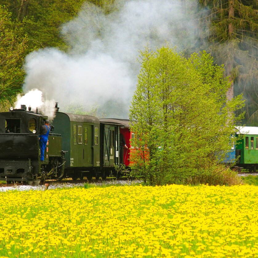 Il treno delle bottigliette - Impression #1 | © TV Schilcherland-Stainz-Reinischkogel