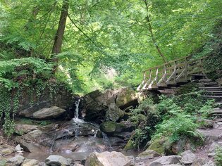 Green forest with small bridge and babbling water. | © Graz Tourismus Information