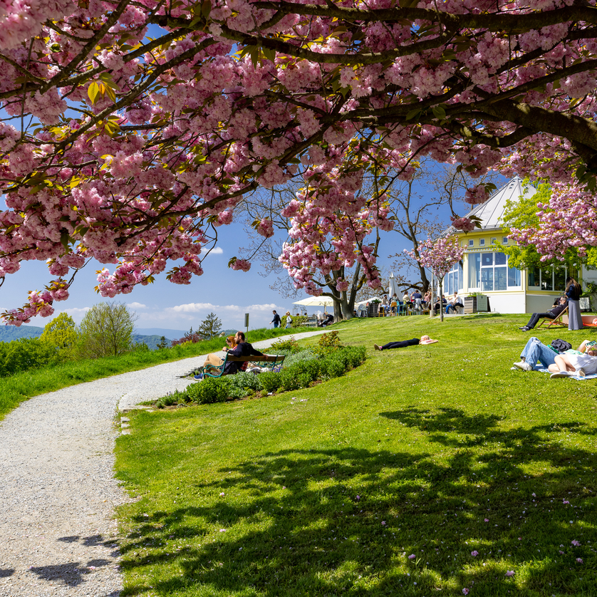 Rosenhain - Mariagrün | © Graz Tourismus - Harry Schiffer