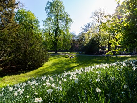 A beautiful city park in Graz with green meadows and flowers. | © Graz Tourismus - Harry Schiffer