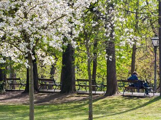 A scene in Graz City Park, surrounded by blooming trees. | © Graz Tourismus - Harry Schiffer