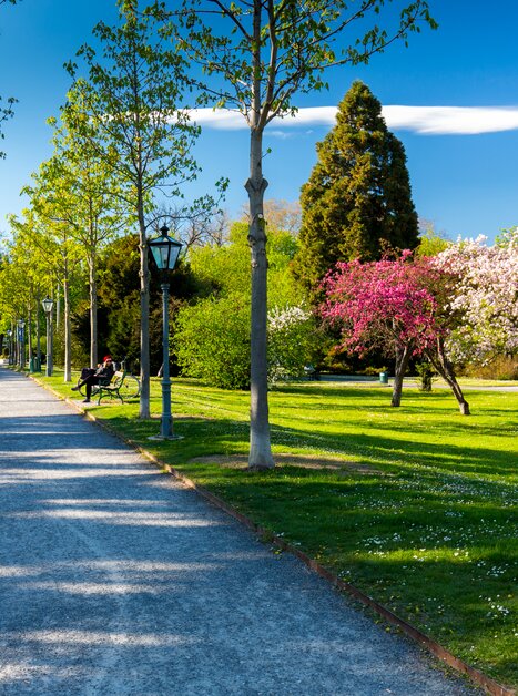 Blühender Stadtpark in Graz mit Bänken und Gehweg. | © Graz Tourismus - Harry Schiffer