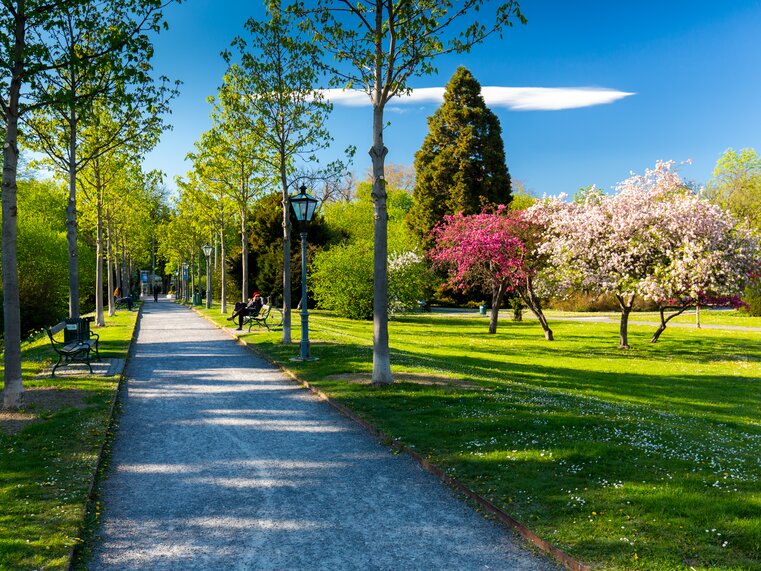 Blooming city park in Graz with benches and pathway. | © Graz Tourismus - Harry Schiffer