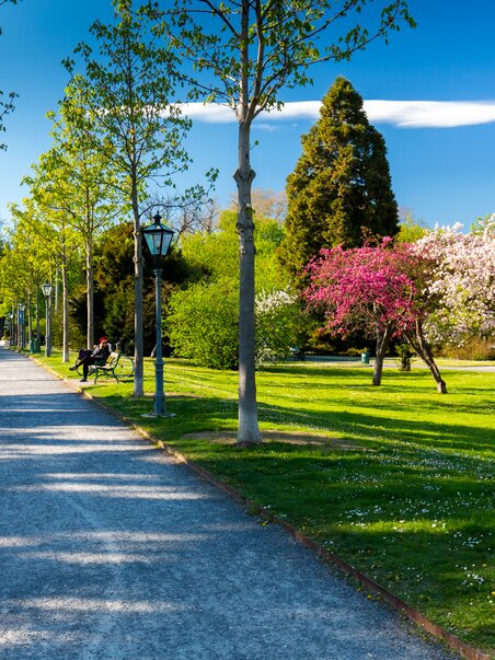 Blooming city park in Graz with benches and pathway. | © Graz Tourismus - Harry Schiffer