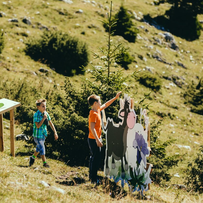 Naturspieleweg am Schöckl | © Lupi Spuma