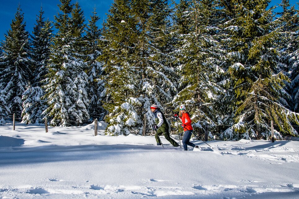 Schneeschuhwandern in der Erlebnisregion Graz | © Mias Photoart