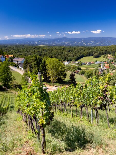View of vineyards and landscape near Graz. | © Graz Tourismus - Harry Schiffer