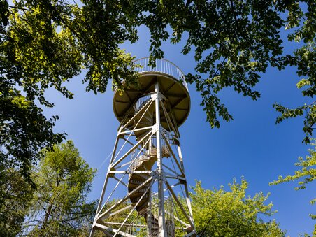 View of a lookout tower surrounded by trees against a blue sky. | © Graz Tourismus - Harry Schiffer