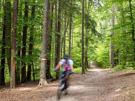 A cyclist riding through a green forest trail. | © Graz Tourismus - Harry Schiffer