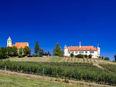 A castle and a church surrounded by vineyards and blue sky. | © Graz Tourismus - Harry Schiffer