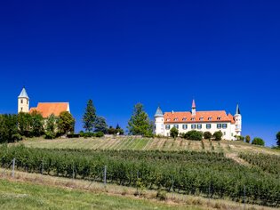 Ein Schloss und eine Kirche umgeben von Weinbergen und blauem Himmel. | © Graz Tourismus - Harry Schiffer