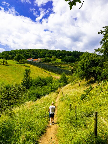 A person hiking along a path through lush greenery. | © Graz Tourismus - Harry Schiffer