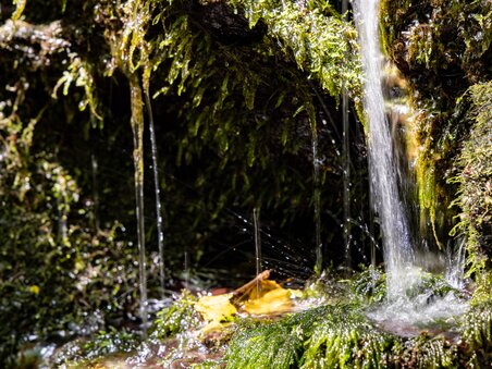 A waterfall flows over moss-covered stones in nature. | © Graz Tourismus - Harry Schiffer