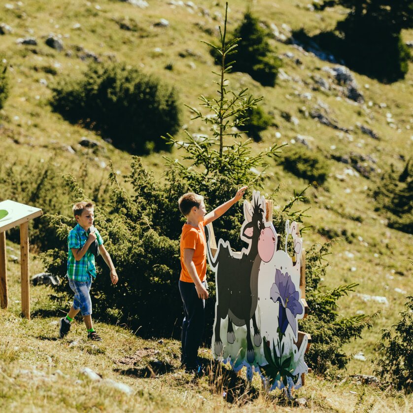 Naturspieleweg am Schöckl in Graz | © Lupi Spuma Drei Kinder spielen im Freien und betrachten eine Schautafel am Schöckl in Graz. | © Lupi Spuma