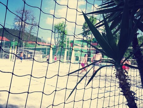 Beach volleyball game in Graz with net and palms. | © Mur Beach - Ingo Gruber