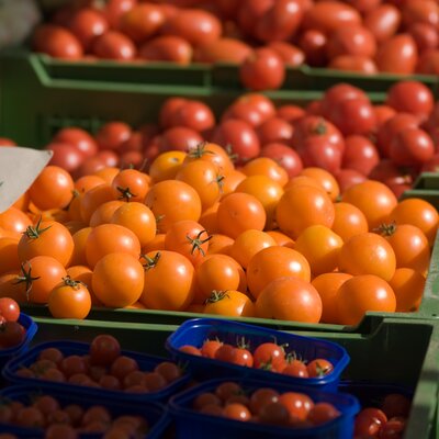 Frische Tomaten auf dem Kaiser Josef Markt in Graz. | © Hans Wiesenhofer