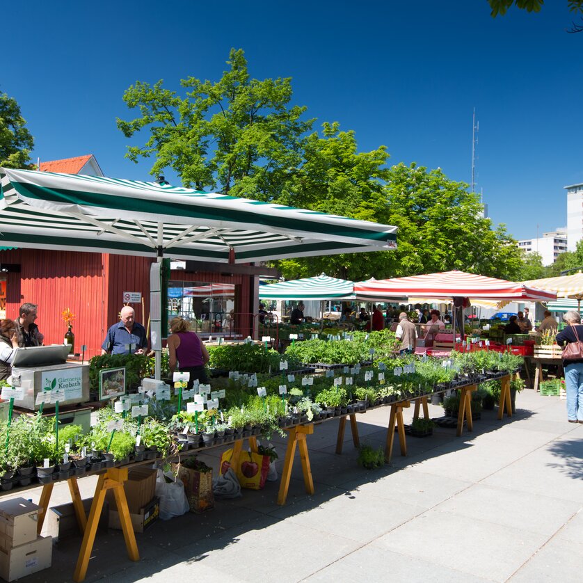 Markt am Lendplatz | © Graz Tourismus - Harry Schiffer