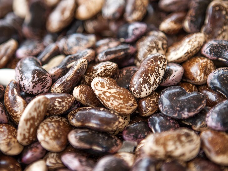 Close-up of colorful beans showcasing a variety of patterns. | © Graz Tourismus - Harald Eisenberger