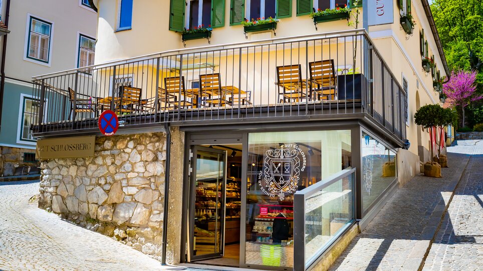 Beautiful building in Graz with terrace and green shutters. | © Gut Schlossberg
