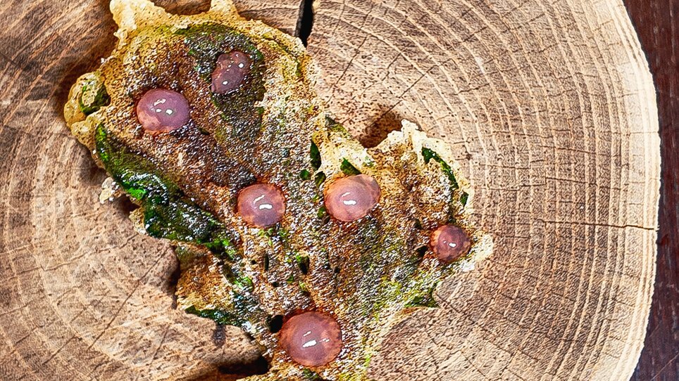 Genießerei am Markt | © Genießerei am Markt