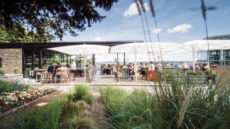 Cozy terrace with guests, sun umbrellas, and beautiful plant landscape. | © aiola
