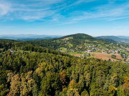 View over gentle hills and forests in green, an idyllic landscape. | © Graz Tourismus - Mias Photoart