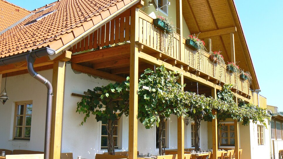 Bright building with canopy, tables, and grapevines. | © Sattler