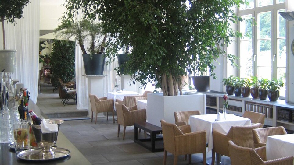 Ristorante luminoso con piante, tavoli eleganti e un bar. | © Purberg