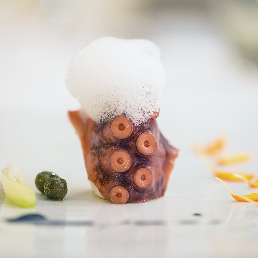 Ein kunstvoll angerichtetes Gericht mit Tintenfisch und Schaum. | © Restaurant Artis